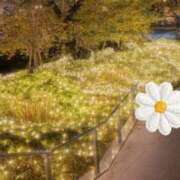 ヒメ日記 2025/11/27 21:44 投稿 じゅり 所沢東村山ちゃんこ