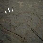 ヒメ日記 2025/12/13 05:00 投稿 じゅり 所沢東村山ちゃんこ