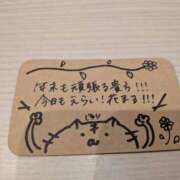 ヒメ日記 2025/12/28 17:52 投稿 じゅり 所沢東村山ちゃんこ