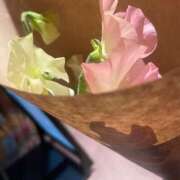 ヒメ日記 2026/01/21 19:55 投稿 じゅり 所沢東村山ちゃんこ