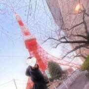 ヒメ日記 2026/02/07 20:43 投稿 じゅり 所沢東村山ちゃんこ