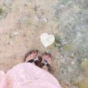 ヒメ日記 2026/02/18 20:18 投稿 じゅり 所沢東村山ちゃんこ