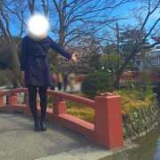 ヒメ日記 2026/02/19 17:40 投稿 じゅり 所沢東村山ちゃんこ