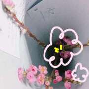 ヒメ日記 2026/02/25 17:01 投稿 じゅり 所沢東村山ちゃんこ