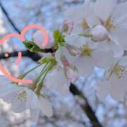 ヒメ日記 2026/03/24 18:33 投稿 じゅり 所沢東村山ちゃんこ