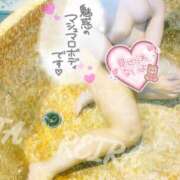 ヒメ日記 2025/11/22 14:34 投稿 れいらさん －PTA－