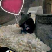 ヒメ日記 2025/12/04 13:04 投稿 れいらさん －PTA－