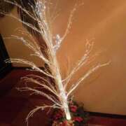 ヒメ日記 2025/12/06 11:34 投稿 れいらさん －PTA－