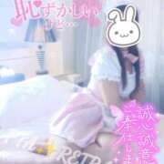 ヒメ日記 2026/02/21 20:44 投稿 れいらさん －PTA－