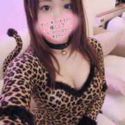 ヒメ日記 2026/03/21 12:04 投稿 れいらさん －PTA－