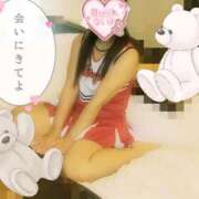 ヒメ日記 2026/08/17 11:54 投稿 れいらさん －PTA－