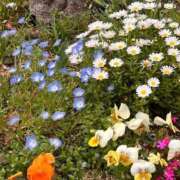 ヒメ日記 2025/04/10 15:36 投稿 ひかる カクテル静岡駅前店