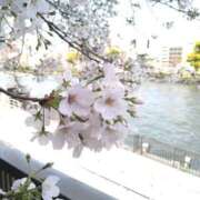 ヒメ日記 2025/04/17 05:17 投稿 かよ One More 奥様　五反田店