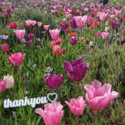 ヒメ日記 2025/05/11 00:33 投稿 かよ One More 奥様　五反田店