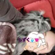 ヒメ日記 2025/11/07 12:00 投稿 中村しずく HANABI(福富町)