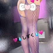 ヒメ日記 2026/01/29 07:45 投稿 中村しずく HANABI(福富町)