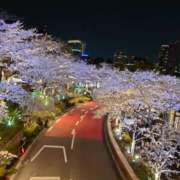 (コスパ)浜辺すみれ/地元出身 初出勤。 風俗イキタイいわき店