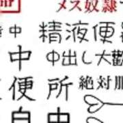 ヒメ日記 2025/11/14 12:39 投稿 麗女王様 調教プレイ専門店 マニアック女人館 別館