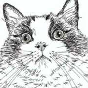 ヒメ日記 2025/11/28 08:00 投稿 麗女王様 調教プレイ専門店 マニアック女人館 別館