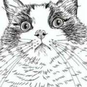 ヒメ日記 2025/11/28 21:20 投稿 麗女王様 調教プレイ専門店 マニアック女人館 別館