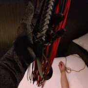 ヒメ日記 2025/12/10 15:02 投稿 麗女王様 調教プレイ専門店 マニアック女人館 別館