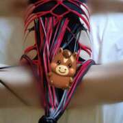 ヒメ日記 2025/12/26 09:30 投稿 麗女王様 調教プレイ専門店 マニアック女人館 別館