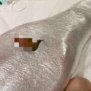 ヒメ日記 2025/12/28 09:16 投稿 麗女王様 調教プレイ専門店 マニアック女人館 別館