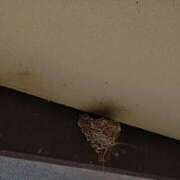 ヒメ日記 2026/04/04 09:53 投稿 麗女王様 調教プレイ専門店 マニアック女人館 別館