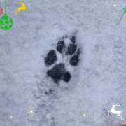 ヒメ日記 2026/02/08 15:47 投稿 彩花 調教プレイ専門店 マニアック女人館 別館