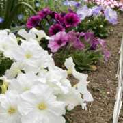 彩花 衣替え👕 調教プレイ専門店 マニアック女人館 別館