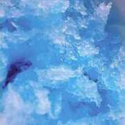 ヒメ日記 2025/08/16 08:08 投稿 めい フローラル