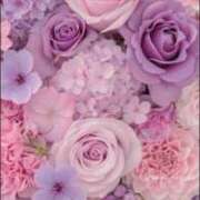 ヒメ日記 2025/08/17 17:06 投稿 めい フローラル