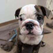 ヒメ日記 2025/09/13 21:10 投稿 めい フローラル