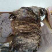 ヒメ日記 2025/09/16 15:50 投稿 めい フローラル