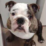 ヒメ日記 2025/09/17 09:50 投稿 めい フローラル