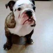 ヒメ日記 2025/09/27 09:39 投稿 めい フローラル