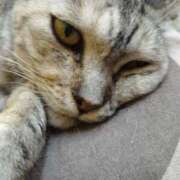 ヒメ日記 2025/09/27 15:29 投稿 めい フローラル