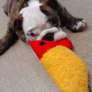 ヒメ日記 2025/09/29 08:08 投稿 めい フローラル