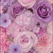 ヒメ日記 2025/09/30 12:49 投稿 めい フローラル