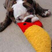 ヒメ日記 2025/10/03 17:23 投稿 めい フローラル