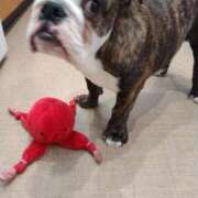 ヒメ日記 2025/10/10 19:47 投稿 めい フローラル