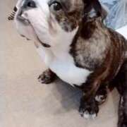 ヒメ日記 2025/10/11 09:53 投稿 めい フローラル