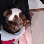 ヒメ日記 2025/12/05 11:12 投稿 めい フローラル