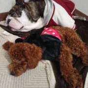 ヒメ日記 2025/12/18 09:52 投稿 めい フローラル