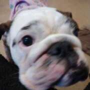 ヒメ日記 2026/01/28 09:31 投稿 めい フローラル