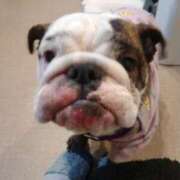 ヒメ日記 2026/02/07 12:41 投稿 めい フローラル