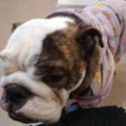 ヒメ日記 2026/02/10 14:35 投稿 めい フローラル