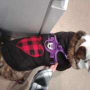 ヒメ日記 2026/03/30 09:30 投稿 めい フローラル