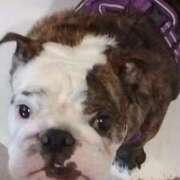 ヒメ日記 2026/04/08 09:24 投稿 めい フローラル