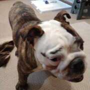 ヒメ日記 2026/04/20 09:12 投稿 めい フローラル